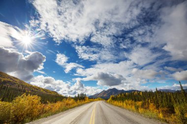 Alaska Otoyolu, Amerika Birleşik Devletleri