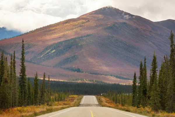 Autosnelweg Alaska Verenigde Staten — Stockfoto