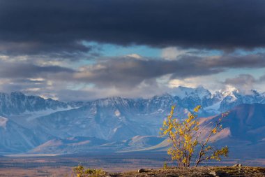 Picturesque Mountains of Alaska in autumn. Snow covered massifs, glaciers and rocky peaks, orange trees. Beautiful natural background.