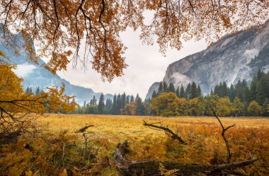 Yosemite Ulusal Parkı, Kaliforniya, ABD 'de güzel bir sonbahar sezonu