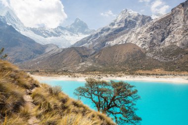 Cordillera Blanca, Peru, Güney Amerika 'daki Paron Gölü.