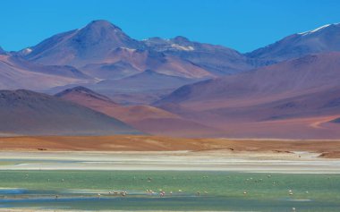 Bolivya altiplanosundaki alışılmadık dağlar Güney Amerika 'yı geziyor.