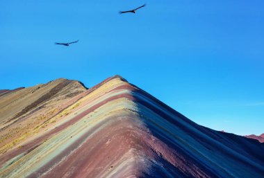 Vinicunca, Cusco Bölgesi, Peru 'da yürüyüş sahnesi. Montana de Siete Renkleri, Gökkuşağı Dağı.