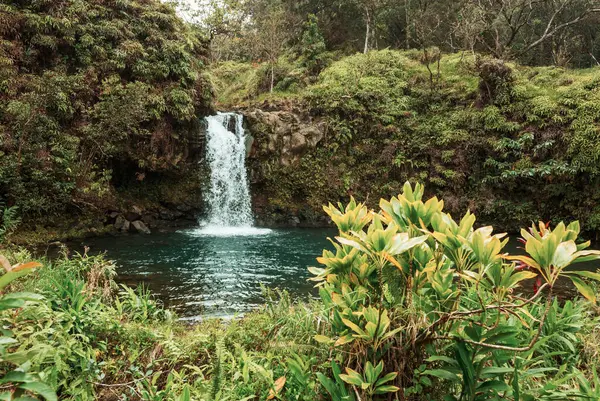 Gyönyörű Trópusi Vízesés Hawaii — Stock Fotó