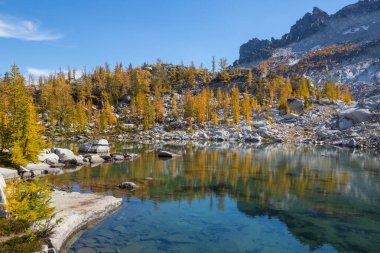Washington, ABD 'deki güzel Alp gölleri vahşi doğa alanı