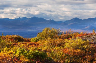 Picturesque Mountains of Alaska in autumn. Snow covered massifs, glaciers and rocky peaks, orange trees. Beautiful natural background.