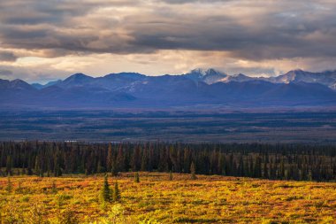 Picturesque Mountains of Alaska in autumn. Snow covered massifs, glaciers and rocky peaks, orange trees. Beautiful natural background.