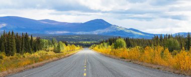 Kanada dağlarında güzel bir sonbahar mevsimi. Sonbahar arkaplanı.