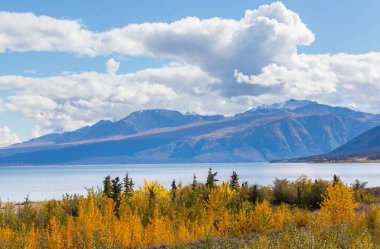 Kanada dağlarında güzel bir sonbahar mevsimi. Sonbahar arkaplanı.