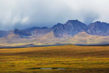 Tundra landscapes above Arctic circle in autumn season. Beautiful natural background.