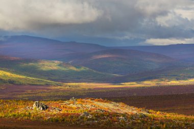 Tundra landscapes above Arctic circle in autumn season. Beautiful natural background.