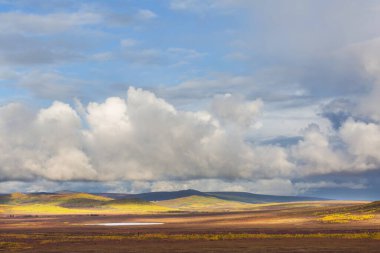 Tundra landscapes above Arctic circle in autumn season. Beautiful natural background.