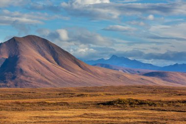 Tundra landscapes above Arctic circle in autumn season. Beautiful natural background.