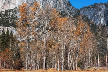 Yosemite Ulusal Parkı, Kaliforniya, ABD 'de güzel bir sonbahar sezonu