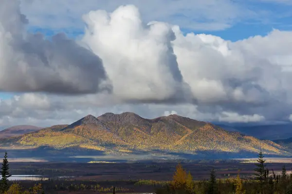 Tundra Landscapes Arctic Circle Autumn Season Beautiful Natural Background — Fotografia de Stock