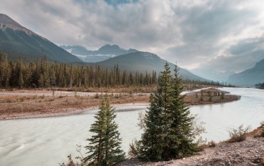 Yaz mevsiminde Kanada Kayalıkları 'nda resim gibi dağ manzarası