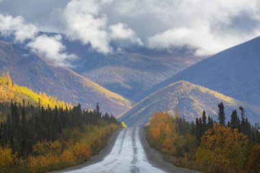 Sonbahar mevsiminde dağ yolu, Alaska