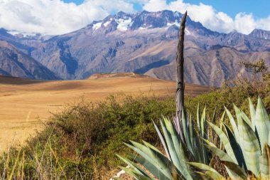 Cordillera de Los Andes, Peru, Güney Amerika 'daki kırsal alanlar