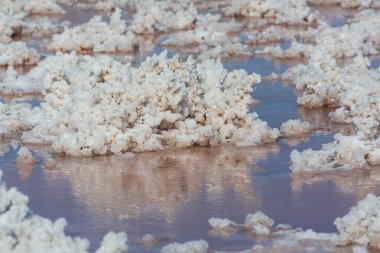 salt pond in the Baja California, Mexico