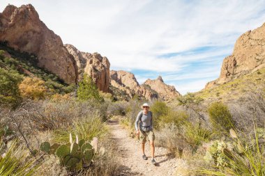 Big Bend Ulusal Parkı 'nda yürüyüş, Teksas, ABD