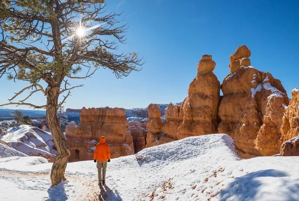 Hike Bryce Canyon National Park Winter Season Utah Usa — Stock Photo, Image