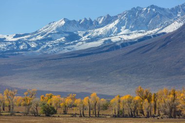 Sierra Nevada Dağı 'nın manzarası. Sonbahar yaprakları. Kaliforniya, ABD.
