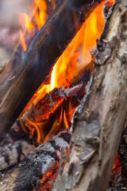 Gece partisinde kamp ateşi
