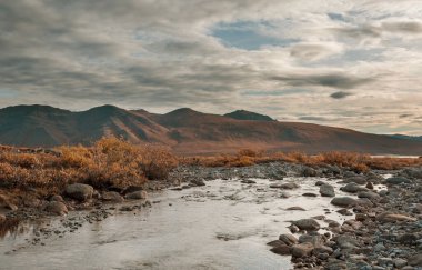 Sonbahar mevsiminde kutup tundrasında dere, Dalton karayolu, Alaska, ABD