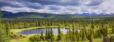 Alaska 'daki Tundra' da huzur gölü