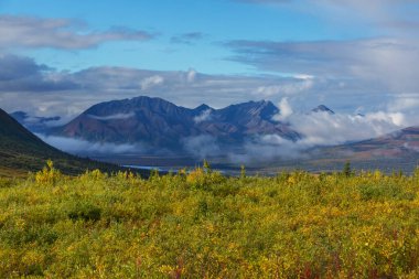 Yaz mevsiminde Kanada Kayalıkları 'nda resim gibi dağ manzarası