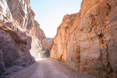 Nevada, ABD 'deki dar kanyonda zorlu bir yol.