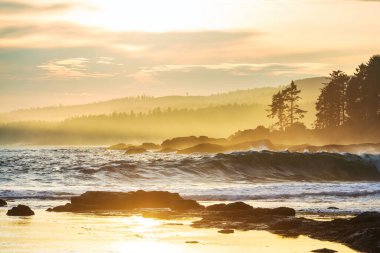 Doğal arkaplan için deniz batımı
