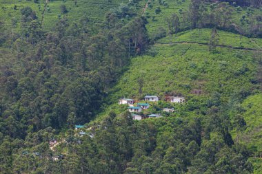 sri lanka geleneksel Köyü