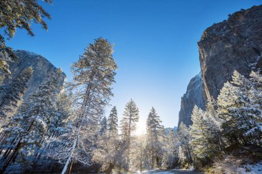 Yosemite Ulusal Parkı, Kaliforniya, ABD 'de kış mevsimi