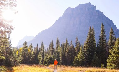 Buzul Ulusal Parkı 'nda yürüyüş, Montana