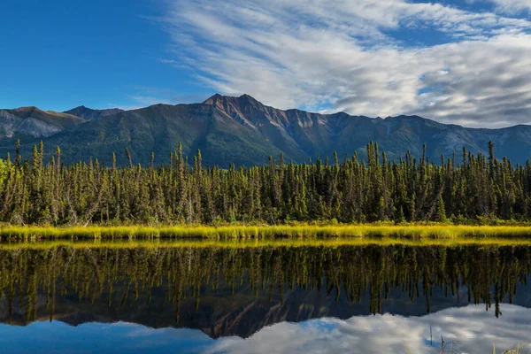 Lago Serenidad Tundra Alaska — Foto de Stock