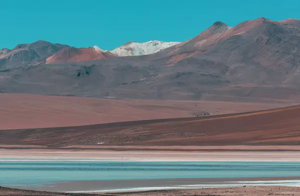 玻利维亚罕见的山地景观 高原旅游探险 — 图库照片