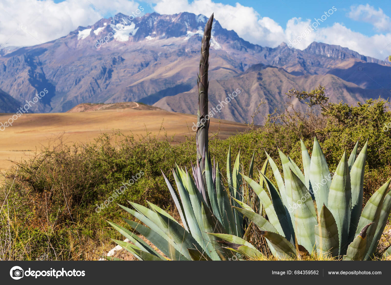 Darmstadt (Alemania), image size:1600x1167