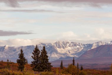 Picturesque Mountains of Alaska in autumn. Snow covered massifs, glaciers and rocky peaks, orange trees. Beautiful natural background.