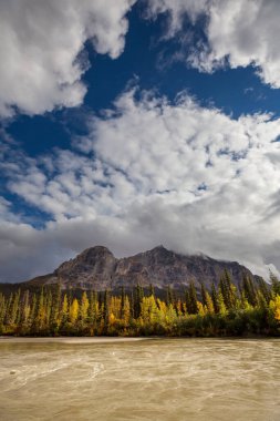 Picturesque Mountains of Alaska in autumn. Snow covered massifs, glaciers and rocky peaks, orange trees. Beautiful natural background.