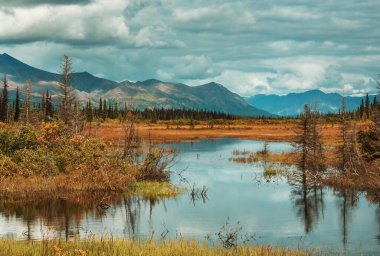 Tundra landscapes above Arctic circle in autumn season. Beautiful natural background.