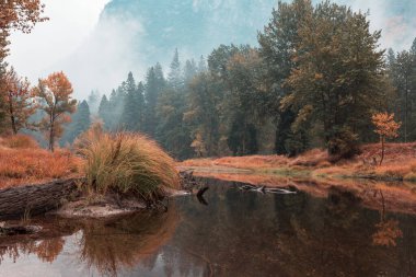 Yosemite Ulusal Parkı, Kaliforniya, ABD 'de güzel bir sonbahar sezonu