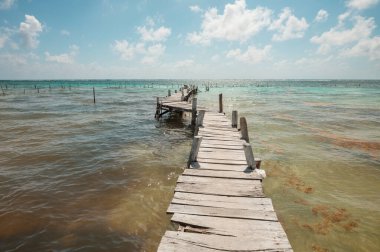 Tropikal sahilde sahil yürüyüşü