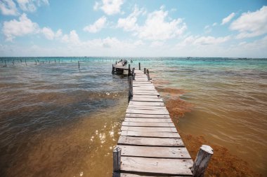 Tropikal sahilde sahil yürüyüşü