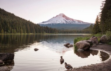 Mount. Hood reflection in Trillium lake,  Oregon, USA. Beautiful natural landscapes