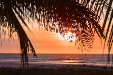 Doğal arkaplan için deniz batımı