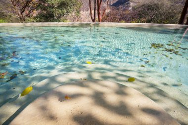 Meksika 'da alışılmadık termal havuzlar Las Grutas De Tolantongo