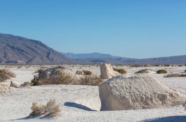 Meksika 'daki beyaz kum tepelerindeki alışılmadık doğal manzaralar.