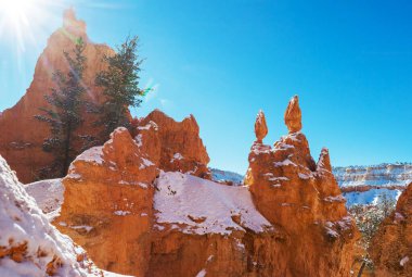 Kış mevsiminde Bryce Canyon Ulusal Parkı 'nın renkli pembe kayaları Utah, ABD