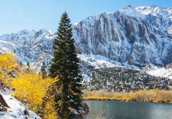 Kış erken dağlarında güzel bir doğa manzarası. Sierra Nevada manzaraları. ABD, Kaliforniya. Seyahat ve kış tatili geçmişi.